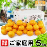 画像1: 愛媛県産 はれひめ ご家庭用５kg (1)