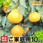 画像3: 愛媛県産 はれひめ ご家庭用10kg (3)