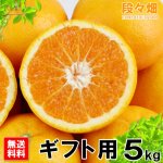 画像2: 愛媛県産 はれひめ ギフト用５kg (2)