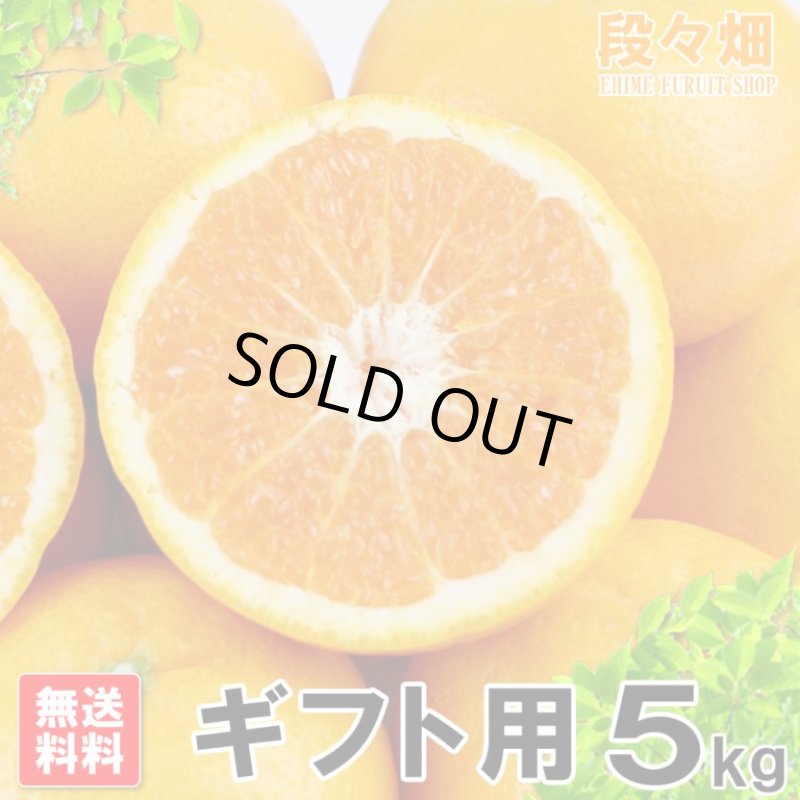 画像2: 愛媛県産 はれひめ ギフト用５kg (2)