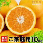 画像2: 愛媛県産 はれひめ ご家庭用10kg (2)