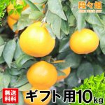 画像3: 愛媛県産 はれひめ ギフト用10kg (3)