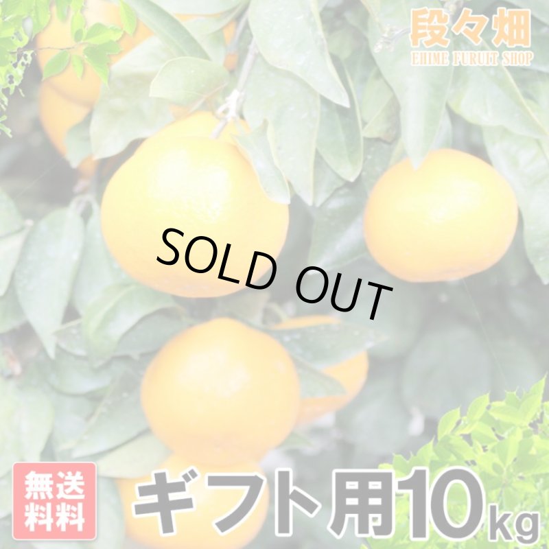 画像3: 愛媛県産 はれひめ ギフト用10kg (3)