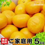 画像3: 愛媛県産 はれひめ ご家庭用５kg (3)