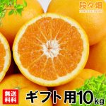 画像2: 愛媛県産 はれひめ ギフト用10kg (2)