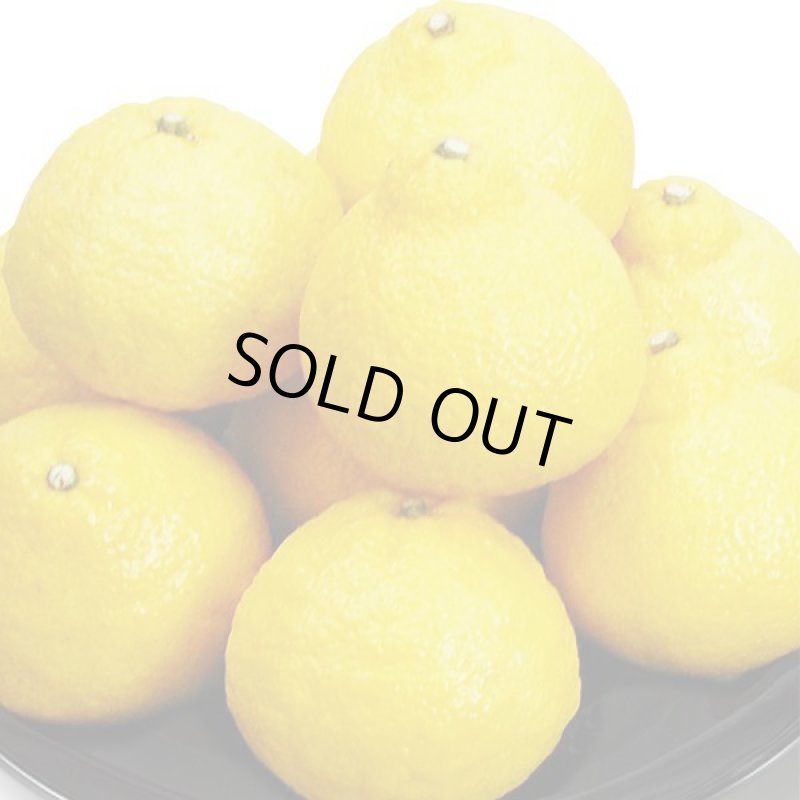 画像4: 愛媛県産 はるか ご家庭用5kg (4)