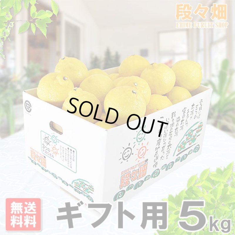 画像1: 愛媛県産 はるか ギフト用5kg (1)