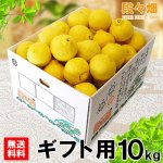 画像1: 愛媛県産 はるか ギフト用10kg (1)