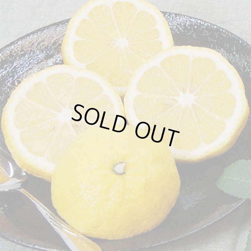 画像3: 愛媛県産 はるか ご家庭用5kg (3)