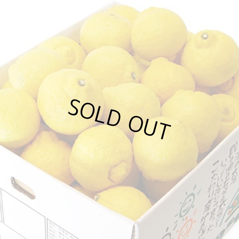 画像2: 愛媛県産 はるか ギフト用10kg (2)