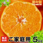 画像2: 愛媛県産 はるみ ご家庭用５kg (2)