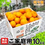 画像1: 愛媛県産 はるみ ご家庭用10kg (1)