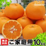 画像3: 愛媛県産 はるみ ご家庭用10kg (3)