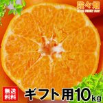 画像2: 愛媛県産 はるみ ギフト用10kg (2)