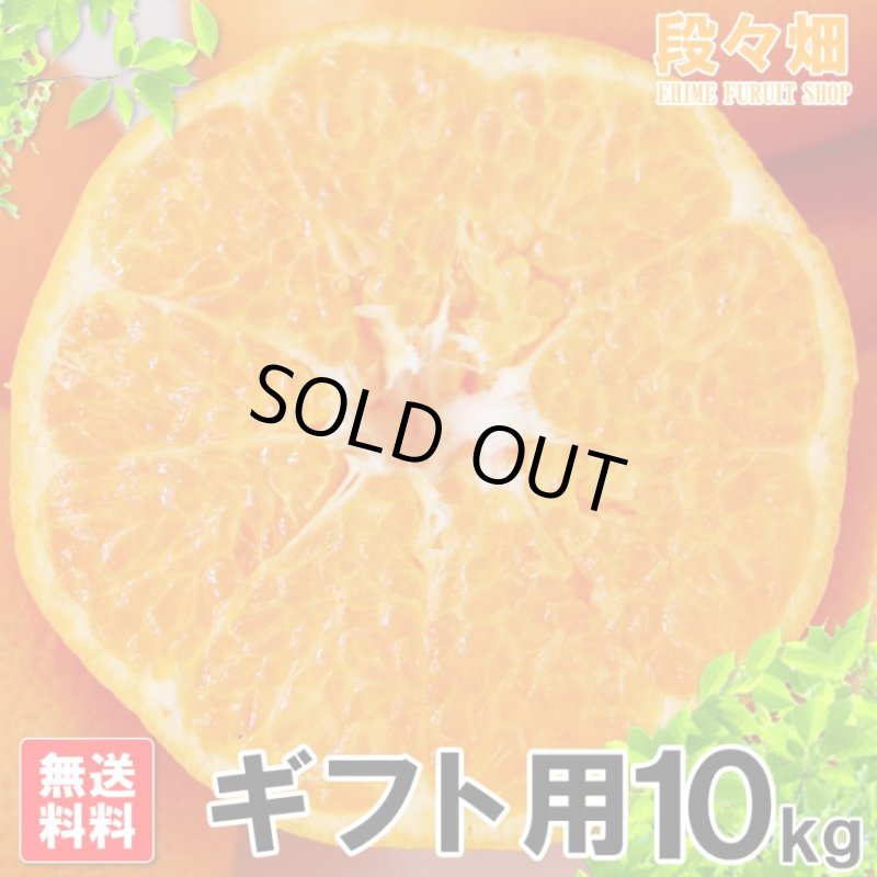 画像2: 愛媛県産 はるみ ギフト用10kg (2)