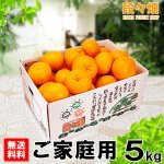 画像1: 愛媛県産 はるみ ご家庭用５kg (1)