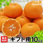 画像3: 愛媛県産 はるみ ギフト用10kg (3)