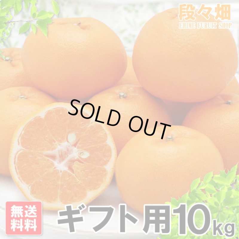 画像3: 愛媛県産 はるみ ギフト用10kg (3)