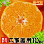 画像2: 愛媛県産 はるみ ご家庭用10kg (2)