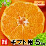 画像2: 愛媛県産 はるみ ギフト用５kg (2)