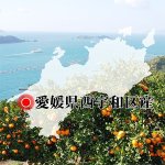 画像7: 愛媛県産 はるみ ご家庭用10kg (7)