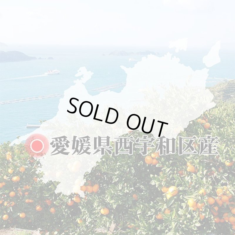 画像7: 愛媛県産 はるみ ご家庭用５kg (7)