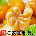 画像3: 愛媛県産 はるみ ご家庭用５kg (3)