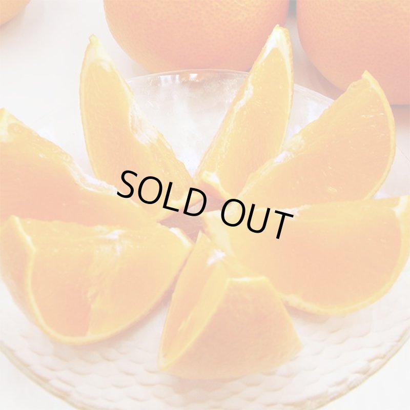 画像3: 愛媛県産 媛まどんな 自然の恵み(訳あり・傷あり）５kg (3)