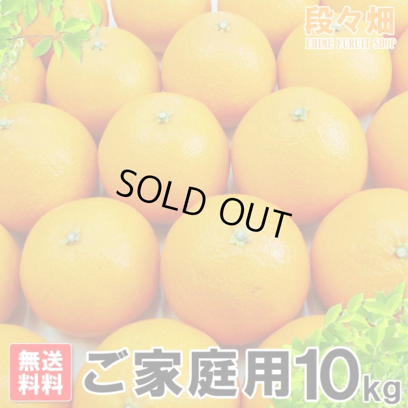 画像2: 愛媛県産 媛まどんな ご家庭用10kg (2)