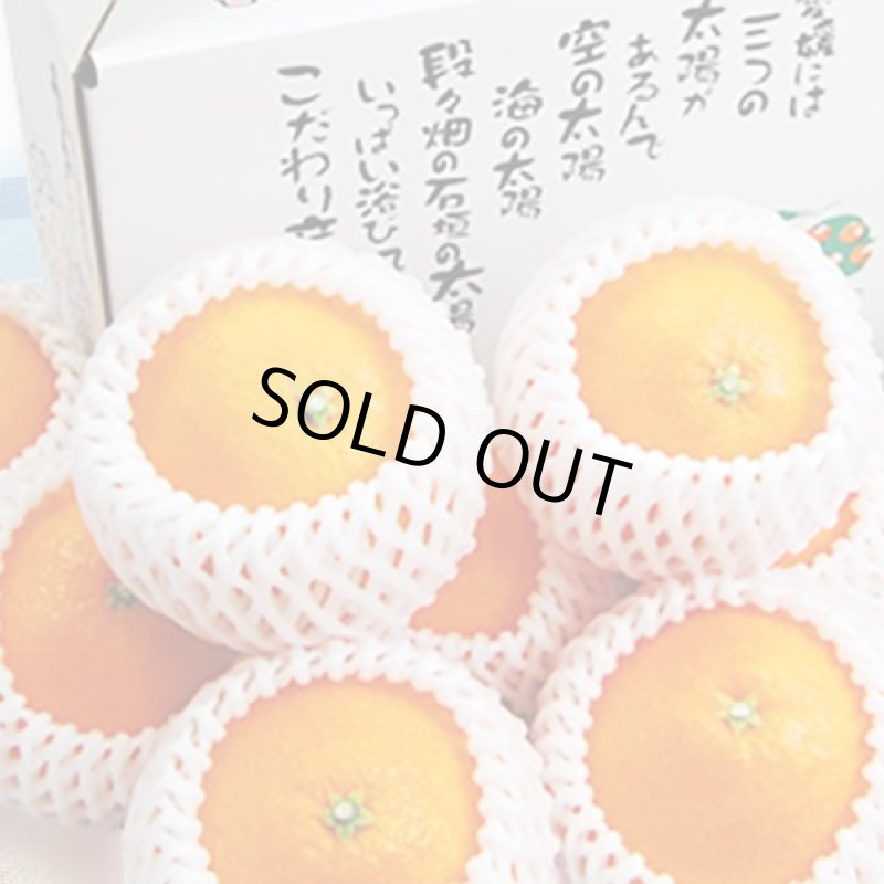 画像2: 愛媛県産 媛まどんな ギフト用 5kg (2)