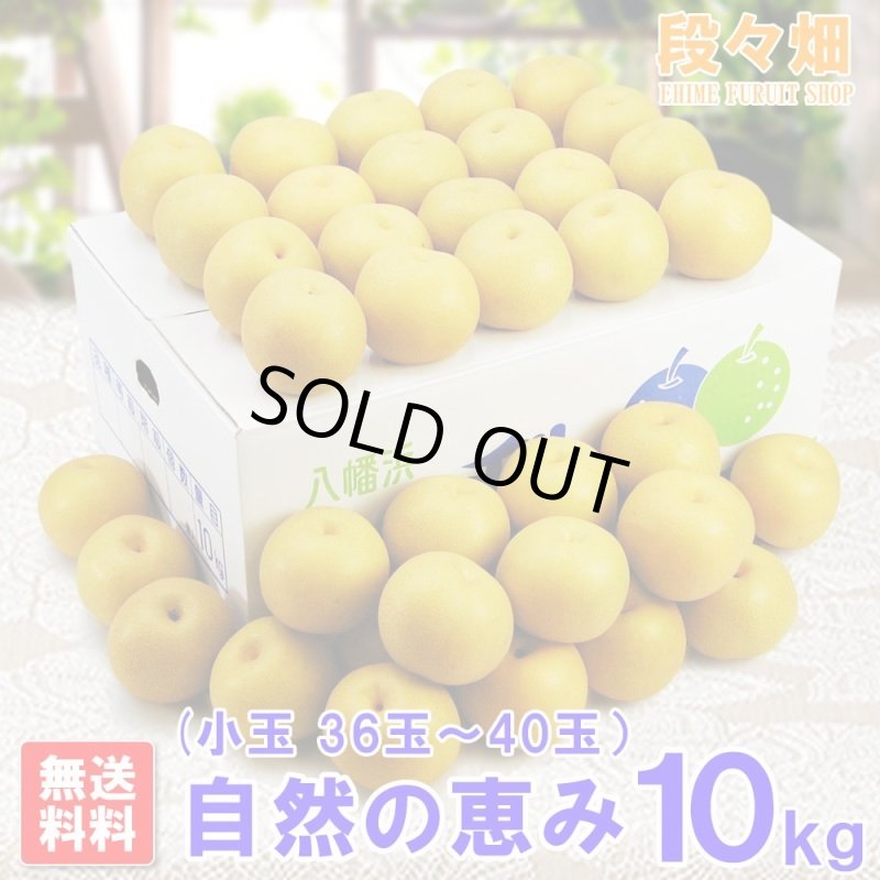 画像1: 愛媛県産 幸水梨 自然の恵み（小玉）10kg (1)