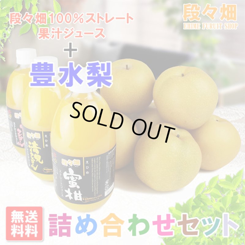 画像1: 愛媛県産 豊水梨・100％ストレート果汁ジュース セット (1)