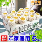 画像1: 愛媛県産 豊水梨 ご家庭用 5kg (1)