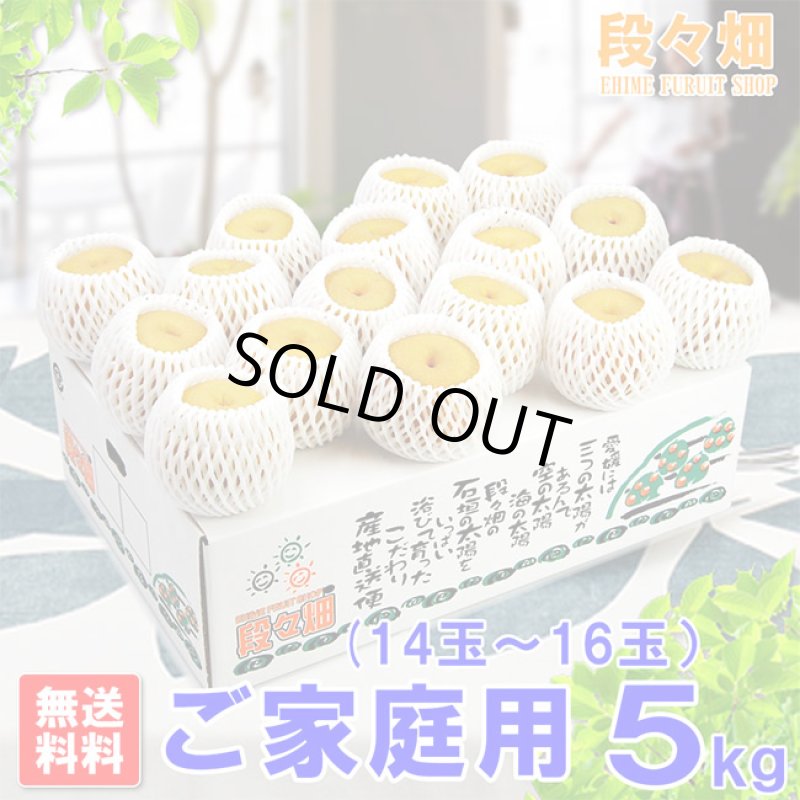 画像1: 愛媛県産 豊水梨 ご家庭用 5kg (1)