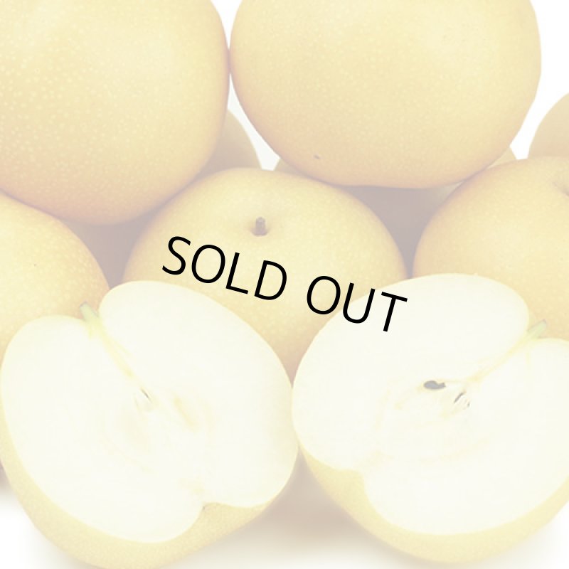 画像3: 愛媛県産 豊水梨 ギフト用 5kg (3)