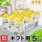 画像1: 愛媛県産 ジューシーオレンジ ギフト用 5kg (1)