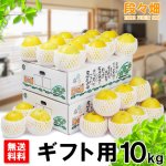 画像1: 愛媛県産 ジューシーオレンジ　ギフト用10kg (1)