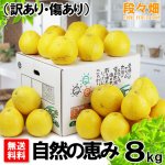 画像1: 愛媛県産 ジューシーオレンジ　自然の恵み8kg (1)