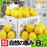 画像1: ↓期間限定値下げ↓　愛媛県産 ジューシーオレンジ　自然の恵み8kg (1)