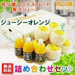 画像1: 愛媛県産 ジューシーオレンジ・100％ストレート果汁ジュース セット (1)