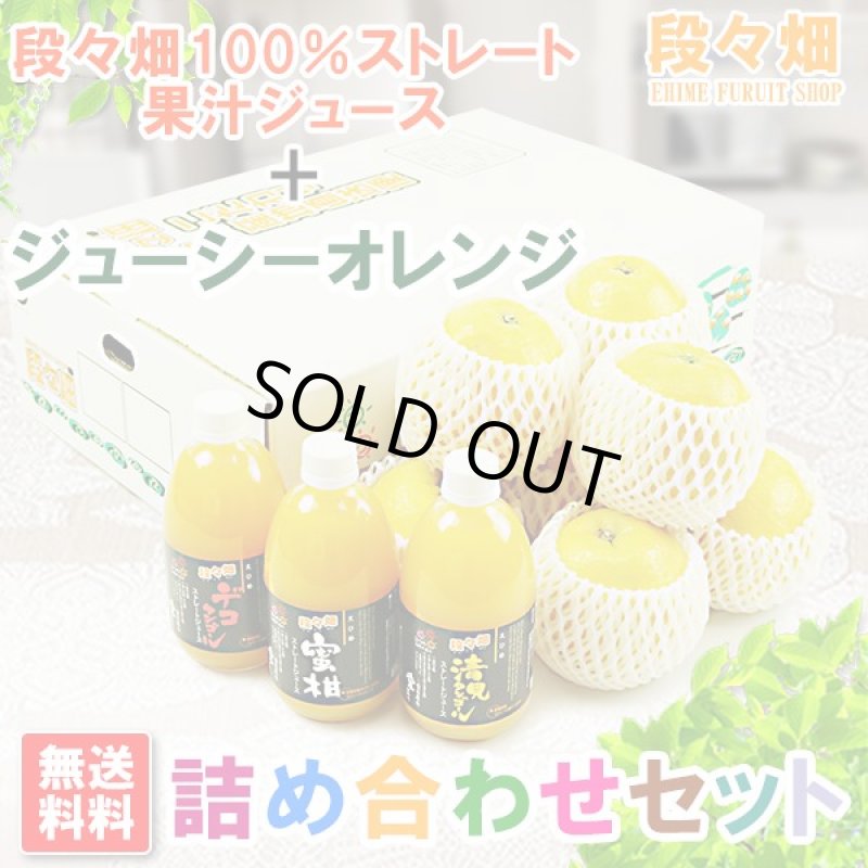 画像1: 愛媛県産 ジューシーオレンジ・100％ストレート果汁ジュース セット (1)