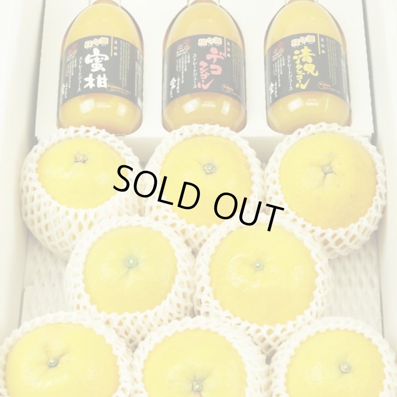 画像2: 愛媛県産 ジューシーオレンジ・100％ストレート果汁ジュース セット (2)