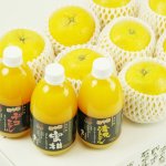 画像3: 愛媛県産 ジューシーオレンジ・100％ストレート果汁ジュース セット (3)