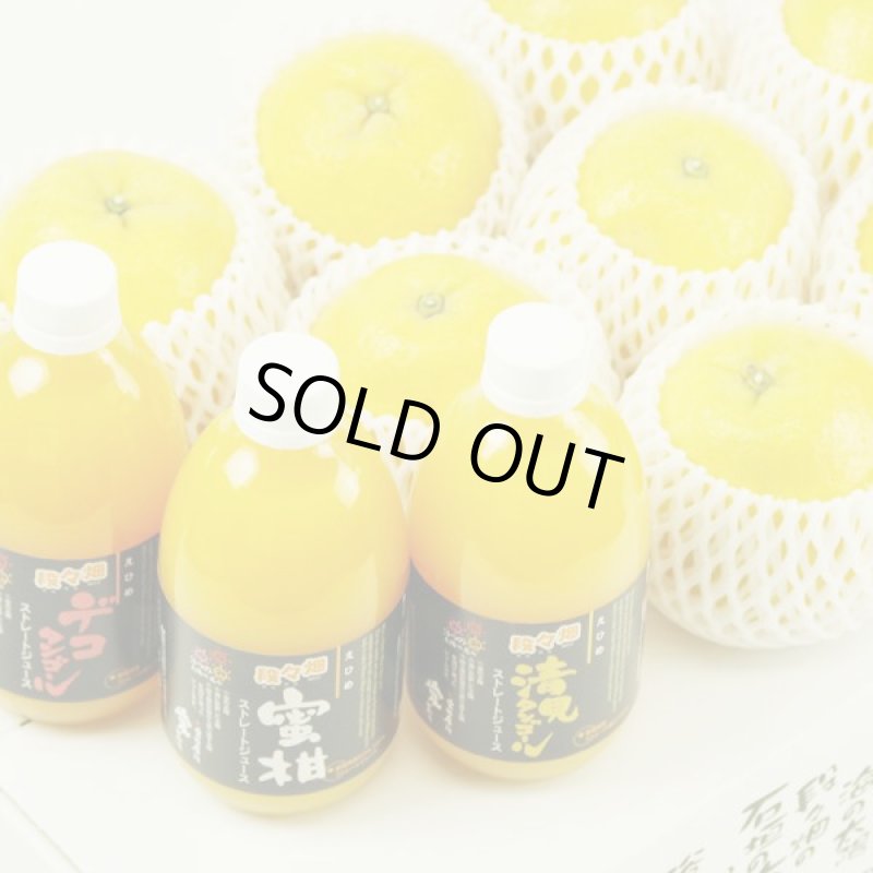 画像3: 愛媛県産 ジューシーオレンジ・100％ストレート果汁ジュース セット (3)