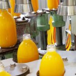 画像6: 愛媛県産 ジューシーオレンジ・100％ストレート果汁ジュース セット (6)