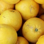 画像2: ↓期間限定値下げ↓　愛媛県産 ジューシーオレンジ　自然の恵み8kg (2)