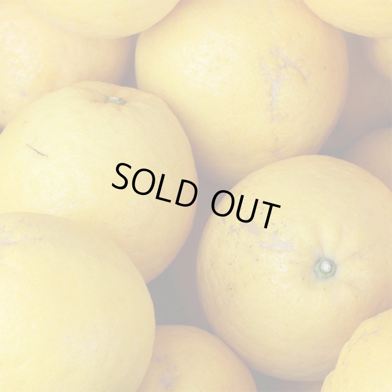 画像2: ↓期間限定値下げ↓　愛媛県産 ジューシーオレンジ　自然の恵み8kg (2)