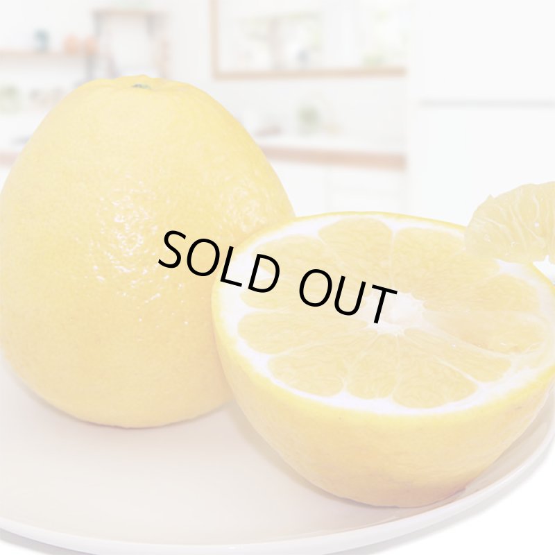 画像3: ↓期間限定値下げ↓　愛媛県産 ジューシーオレンジ　自然の恵み8kg (3)