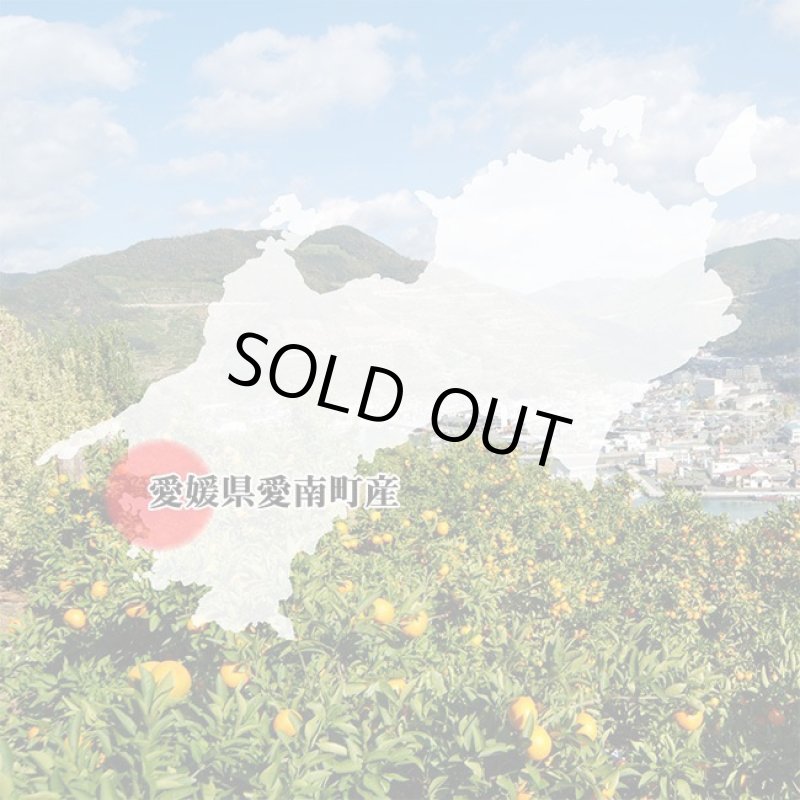 画像9: 愛媛県産 ジューシーオレンジ・100％ストレート果汁ジュース セット (9)