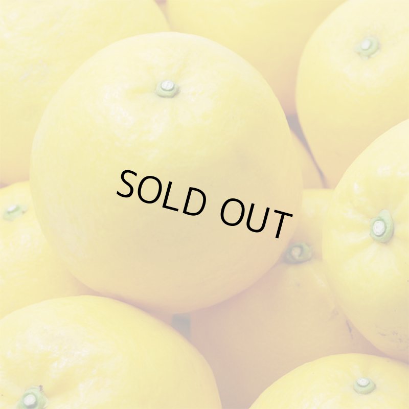 画像4: 愛媛県産 ジューシーオレンジ ギフト用 5kg (4)